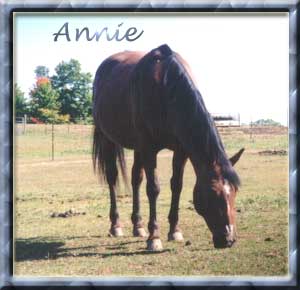 Annie is a granddaugher of Poco Bueno