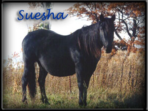 Suesha is a granddaughter of King