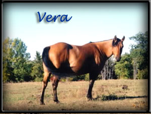 Vera is a grandaughter of Poco Bueno